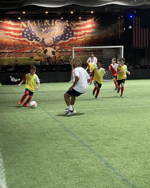 Fun Dodgeball Activities for Homeschoolers Homeschool PE Dodgeball